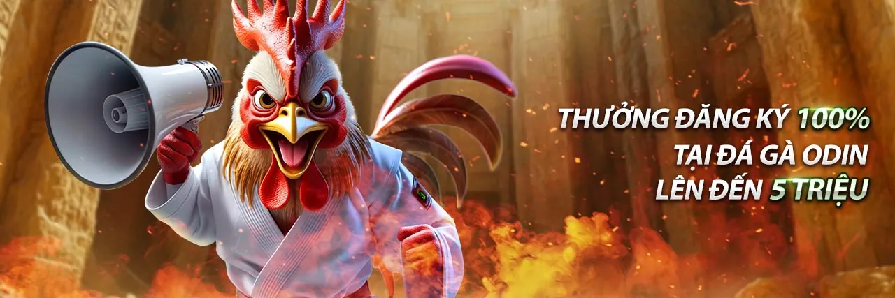 Tổng hợp khuyến mãi 12net mới nhất